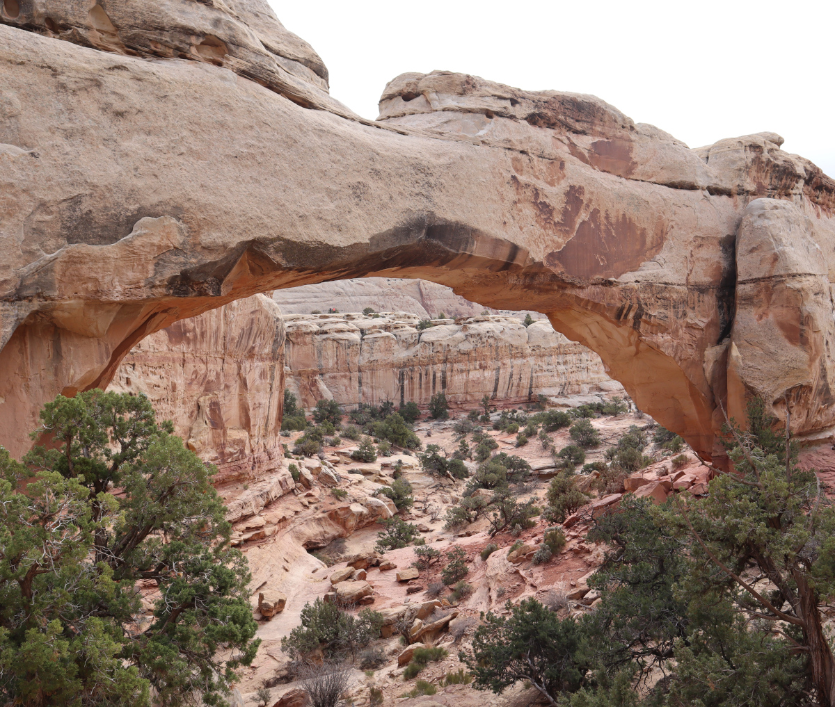 Hickman Bridge at Capitol Reef National Park